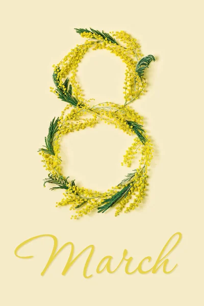 Nummer Aus Mimosen Blumen Und Blätter März Frauentag Frühjahrsferienkonzept Flauschige — Stockfoto