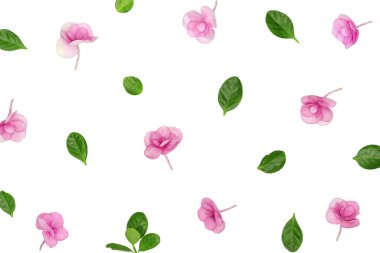 Doğal taze ortanca çiçekli en az çiçek deseni. Mor renkli, çiçek açan çiçekler. Anneler Günü 'nde, 8 Mart' ta, Kadınlar Günü 'nde. Bahar ya da yaz çiçek mevsimi