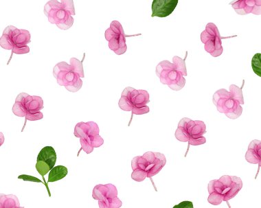 Doğal ortanca pembe mor çiçek, beyaz arka planda minimum çiçek deseni. Küçük taze çiçekli bir düzen. Bahar tatili konsepti, Anneler Günü için, 8 Mart, Kadınlar Günü