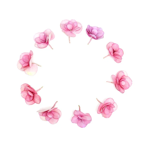 Virágos kerek keret friss Hydrangea virág rózsaszín színű. Üdülési kártya vagy meghívók Anyák napjára, március 8-ára, Nők napja kis virágokkal és másolóhellyel. Virágos tavaszi vagy nyári tervezés — Stock Fotó