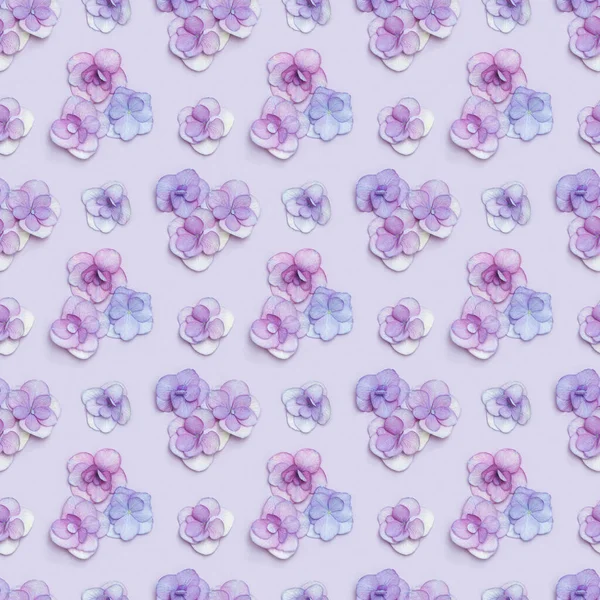 Natürliche Hortensienblüte, minimales Blumenmuster violett monochrom gefärbt. Gestaltung mit frischen Blumen, Frühjahrsferienkonzept, für Muttertag, 8. März, Frauentag. Flache Lage — Stockfoto