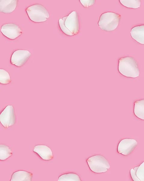 Frame from white rose petals, many flying flower petals on pink background. Minimal Valentines layout for February 14th. Festive valentine day concept. Flat lay, top view — Stockfoto