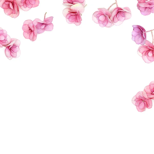 Hydrangea 분홍 꽃의 자연적 인 틀, 최소한의 꽃 장식. 엄마 날인 3 월 8 일, 자궁의 날인 봄 연휴를 배경으로 새로 꽃이 핀다. 위에서 바라본 경관 — 스톡 사진