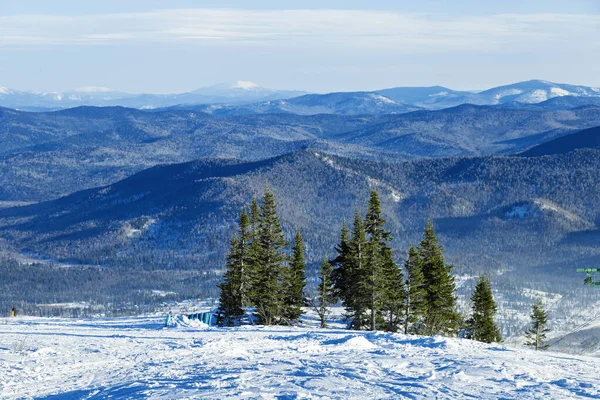 Abeto verde en la cima del monte Zelenaya sobre el fondo de picos de montaña, vista de la naturaleza con cielo azul, nieve, madera. Escena de invierno en la estación de esquí Sheregesh Rusia. Colinas con bosque de coníferas. —  Fotos de Stock