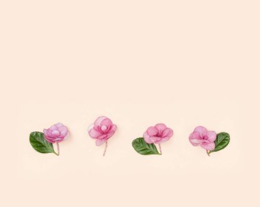 Pastel pembe kağıt üzerinde küçük pembe çiçekler ve tebrik kartı olan yaratıcı minimal düzenleme. Çiçek arka planı