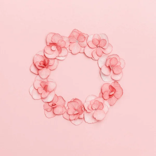 Virágos keret kis rózsaszín Hydrangea virágok, természetes virágos lakás feküdt nyári szezonális stílusban. Minimális monokróm — Stock Fotó