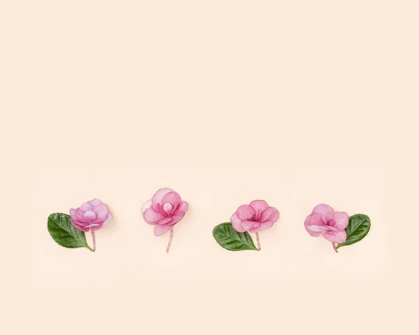 パステルピンクの紙に小さなピンクの花と創造的な最小限の配置、グリーティングカード。花の背景 — ストック写真
