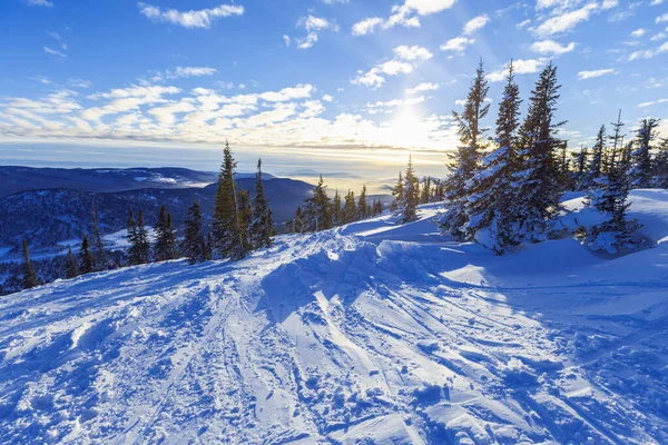 Přírodní zimní krajina v lyžařském středisku Sheregesh v Rusku, studené počasí, bílý zasněžený svah, jedle jehličnaté na vrcholu hory, výhled na přírodu s modrými mraky obloha — Stock fotografie