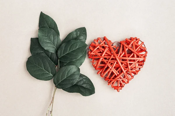 Natural Branch Tree Green Leaves Wooden Red Heart Light Paper — Stock Photo, Image