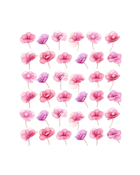 Természetes Hydrangea rózsaszín virágok, minimális virág minta elrendezése kis friss virágok. Tavaszi nyaralás koncepció Anyák napja, március 8, Nők napja. Lapos fektetés, négyzet összetétel — Stock Fotó