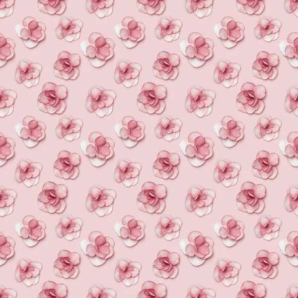 Ortensia naturale fiore rosa, minimale motivo floreale monocromatico ornamento colorato. Layout con fiori freschi. Concetto di vacanza di primavera, per la festa della mamma, 8 marzo, giornata della donna. Posa piatta — Foto Stock