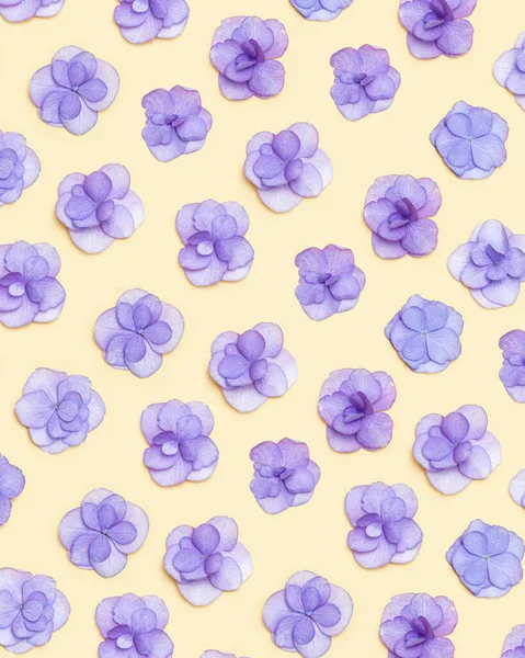 新鮮なアジサイ紫色の花を持つ最小限の花パターン、今年の非常にパーリ色。母の日、 8 3月、女性の日のための平らな花と休日のレイアウト。平台花構成 — ストック写真