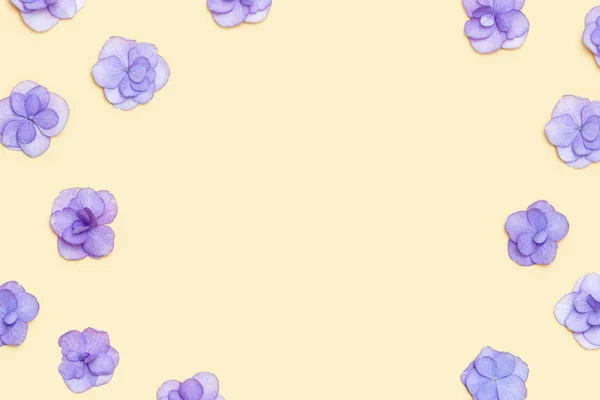 Natürliche Hortensie violette Blume, minimaler floraler Rahmen auf beigem Hintergrund. Layout mit frischen Blumen. Frühjahrsferienkonzept, Muttertag, 8. März, Frauentag. Flache Lage, oberhalb der Ansicht — Stockfoto