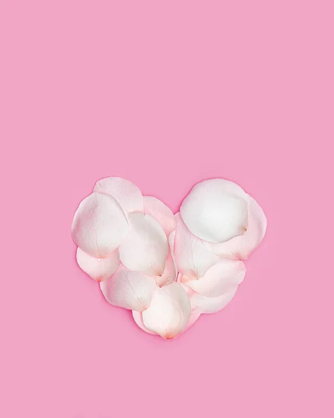 ピンクの背景にバラの花びらで作られた公開ハート。白い花の花弁から心臓形。2月14日のバレンタインカード。お祝いのバレンタインデーのコンセプト。フラットレイアウト、トップビュー — ストック写真