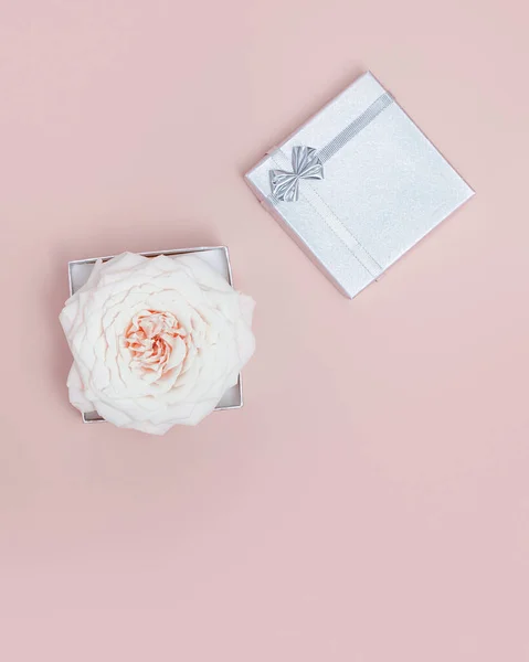 Minimal Επίπεδη Θέσει Παστέλ Ροζ Τριαντάφυλλο Λουλούδι Και Ασημένιο Κουτί — Φωτογραφία Αρχείου