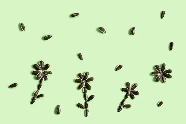 Schwarze Sonnenblumenkerne als Blume auf pastellgrünem Hintergrund. Erntezeit Landwirtschaft Landwirtschaft. Gesunde biologische Lebensmittel. — Stockfoto