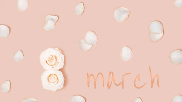 Нежная открытка 8 марта с двумя белыми цветочными розами под номером восемь и летающими лепестками. Международный женский день. — стоковое фото