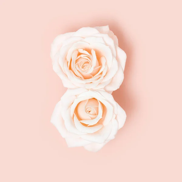 Zarte Postkarte am 8. März mit zwei weißen Blütenrosen als Nummer acht. Internationaler Frauentag. Stockbild