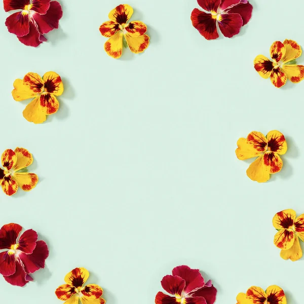 Modern virágos keret sárga és piros árvácska virágok, kis nyári lapos feküdt virágos szezonális stílus — Stock Fotó