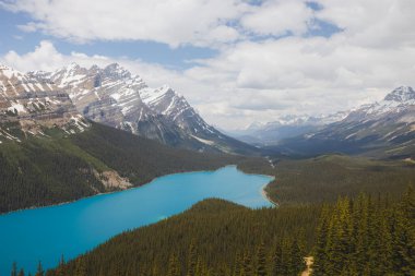 Zümrüt mavisi su ve Kanada 'nın Alberta kentinde bulunan Peyto Gölü' nün buzul manzaralı destansı bir yaz günü..