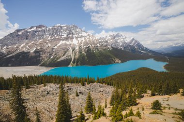 Zümrüt mavisi su ve Kanada 'nın Alberta kentinde bulunan Peyto Gölü' nün buzul manzaralı destansı bir yaz günü..
