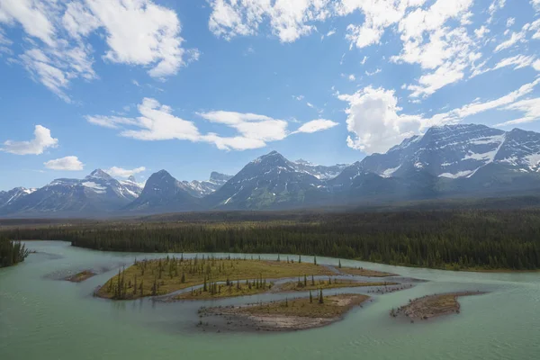 Scenic View Summer Day Goats Glaciers Viewpoint Athabasca River Valley — 스톡 사진