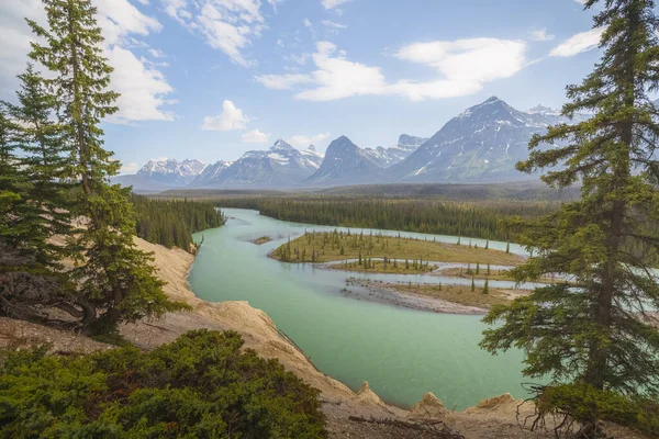 Scenic View Summer Day Goats Glaciers Viewpoint Athabasca River Valley — Foto de Stock