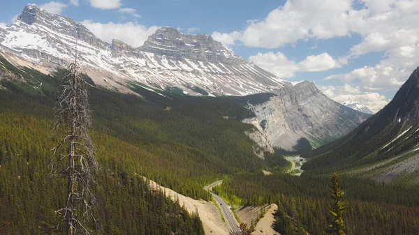 Scenic View Summer Day Big Hill Big Bend Viewpoint Mountain — 스톡 사진