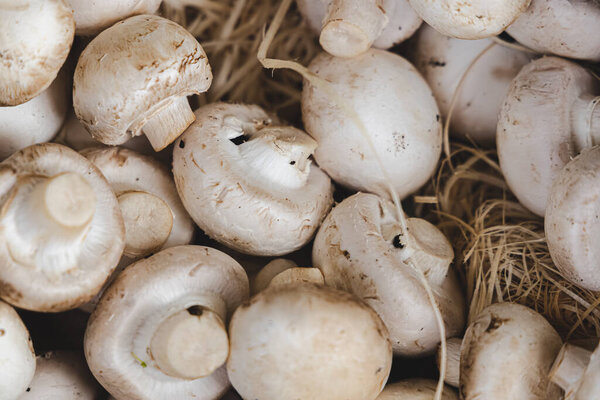 Close-up details of fresh, organic, white button mushrooms (Agaricus bisporus) on display at an outdoor rural country farmer's market in Scotland, UK.