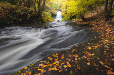 Bir sonbahar günü İskoçya 'nın Falkirk kentinde şelale ve canlı sonbahar renkleri var..