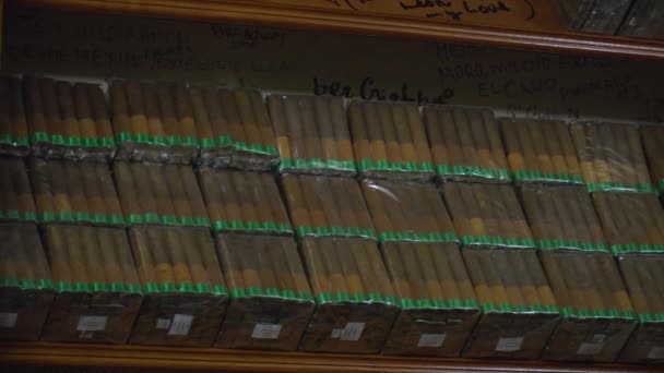 Stapel Authentischer Kubanischer Zigarren Aus Little Havanna — Stockvideo