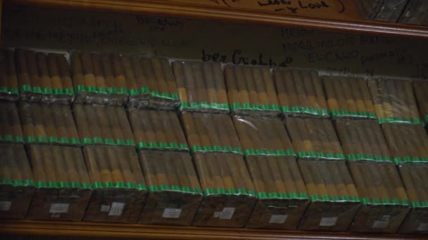 Stack Authentic Cuban Cigars Little Havana — Stock Video