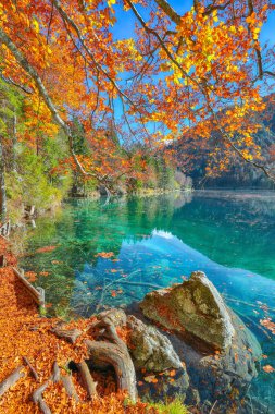 Arka planda Mangart zirvesi olan Fusine Gölü 'nün nefes kesici manzarası. Akdeniz 'in popüler seyahat noktası. Konum: Tarvisio komünü, Udine ili, İtalya, Avrupa