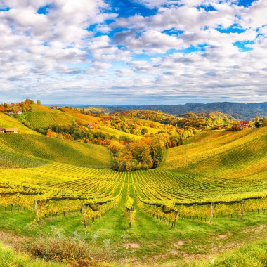Gamlitz yakınlarındaki Güney Styria 'daki muhteşem üzüm bağları. Popüler seyahat merkezi Eckberg 'deki üzümlü tepelerin sonbahar sahnesi. Yeri: Gamlitz, Leibnitz bölgesi, Styria, Avusturya. Avrupa.