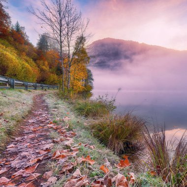 Almsee Gölü 'nde güneşli ve sisli bir sonbahar sabahı manzarası. Poppular Travell 'in varış yeri. Konum: Almsee Gölü, Almtal Vadisi, Salzkammergut Bölgesi, Yukarı Avusturya, Avusturya, Avrupa.