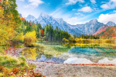 Almsee Gölü 'nde güneşli bir sonbahar sabahı. Popüler seyahat yeri. Konum: Almsee Gölü, Almtal Vadisi, Salzkammergut Bölgesi, Yukarı Avusturya, Avusturya, Avrupa.