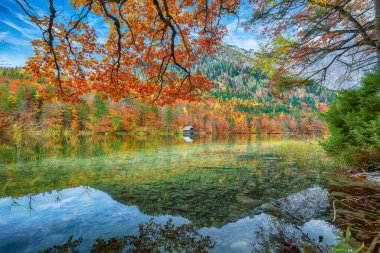 Hinterer Langbasee Gölü 'nün muhteşem sonbahar sahnesi. Poppular Travell 'in varış yeri. Konum: Vorderer Langbasee, Salzkammergut bölgesi, Yukarı Avusturya, Avusturya, Avrupa.