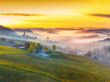 Gamlitz yakınlarındaki Güney Styria 'daki muhteşem üzüm bağları. Popüler seyahat merkezi Eckberg 'deki üzümlü tepelerin sonbahar sahnesi. Yeri: Gamlitz, Leibnitz bölgesi, Styria, Avusturya. Avrupa.