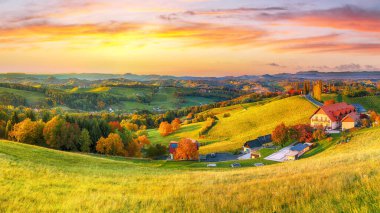 Gamlitz yakınlarındaki Güney Styria 'daki göz kamaştırıcı üzüm bağları. Popüler seyahat merkezi Eckberg 'deki üzümlü tepelerin sonbahar sahnesi. Yeri: Gamlitz, Leibnitz bölgesi, Styria, Avusturya. Avrupa.