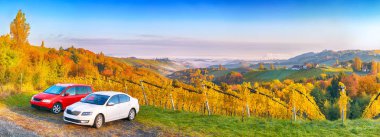 Gamlitz yakınlarındaki Güney Styria 'daki muhteşem üzüm bağları. Popüler seyahat merkezi Eckberg 'deki üzümlü tepelerin sonbahar sahnesi. Yeri: Gamlitz, Leibnitz bölgesi, Styria, Avusturya. Avrupa.