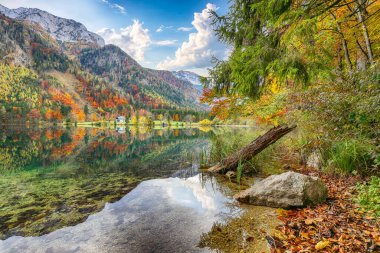 Vorderer Langbasee Gölü 'nün muhteşem sonbahar sahnesi. Poppular Travell 'in varış yeri. Konum: Vorderer Langbasee, Salzkammergut bölgesi, Yukarı Avusturya, Avusturya, Avrupa.