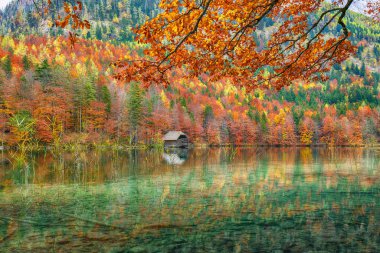 Hinterer Langbasee Gölü 'nün muhteşem sonbahar sahnesi. Poppular Travell 'in varış yeri. Konum: Vorderer Langbasee, Salzkammergut bölgesi, Yukarı Avusturya, Avusturya, Avrupa.
