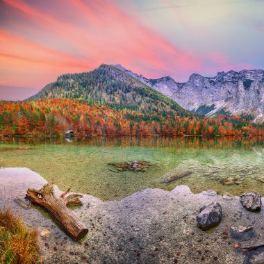 Hinterer Langbasee Gölü 'nün dramatik sonbahar sahnesi. Poppular Travell 'in varış yeri. Konum: Vorderer Langbasee, Salzkammergut bölgesi, Yukarı Avusturya, Avusturya, Avrupa.