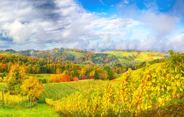 Nádherná Vinařská Krajina Jižním Štýrsku Gamlitzu Podzimní Scéna Vinných Kopců — Stock fotografie