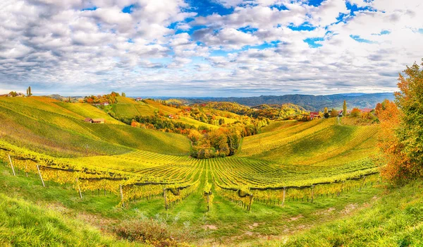 Spektakuläre Weinbaulandschaft Der Südsteiermark Bei Gamlitz Herbstliche Szenerie Der Weinberge — Stockfoto