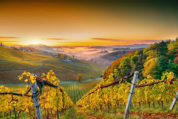 Astonishing Vineyards Landscape South Styria Gamlitz Autumn Scene Grape Hills — Φωτογραφία Αρχείου