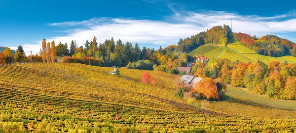 Breathtaking Vineyards Landscape South Styria Gamlitz Autumn Scene Grape Hills — Stock Photo, Image