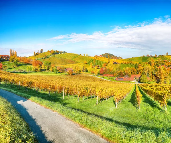 Breathtaking Vineyards Landscape South Styria Gamlitz Autumn Scene Grape Hills — Φωτογραφία Αρχείου