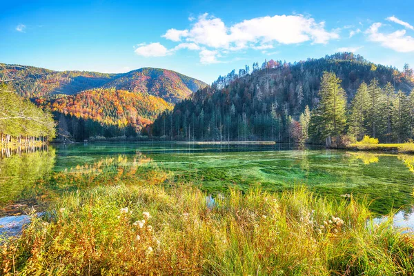 Favolosa Scena Autunnale Dello Stagno Schiederweiher Destinazione Viaggio Papulare Ubicazione — Foto Stock