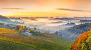 Gamlitz yakınlarındaki Güney Styria 'daki muhteşem üzüm bağları. Popüler seyahat merkezi Eckberg 'deki üzümlü tepelerin sonbahar sahnesi. Yeri: Gamlitz, Leibnitz bölgesi, Styria, Avusturya. Avrupa.